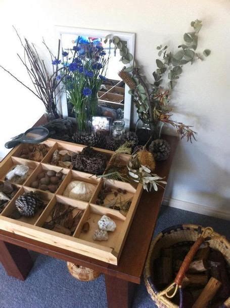 gorgeous natural display exploration table  primary classroom