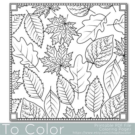 autumn leaves coloring page  grown ups instant  fall