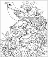Coloring Birds Coloriage Difficile Dessin Imprimer Pages Kids Color Print Animaux Pour Fille Children Colorier Magique Dessins 4eme Printable sketch template