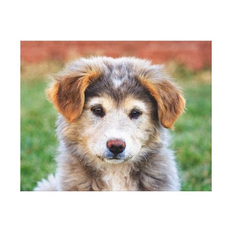 cute adorable puppy dog photo canvas print zazzlecom