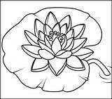 Lily Coloring Water Pages Flowers Lilies Patterns Flower Drawing Coloritbynumbers Book Pond Painting Kids Monet Visit Related sketch template