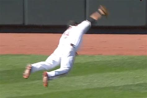 david lough s amazing diving catch may be proof that he can fly for
