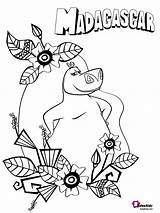 Madagascar Bubakids Hippo sketch template