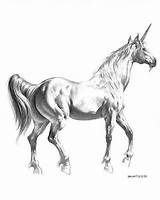 Vallejo Licorne Magique Horse Cheval แฟน ตา ซ ตว Julie sketch template