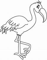Flamingo Coloring Pages Printable Flamingos Drawing Bird Search sketch template