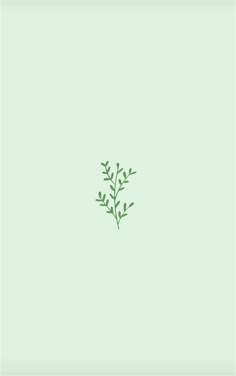 pastel green mint green aesthetic wallpaper plants design daritinha