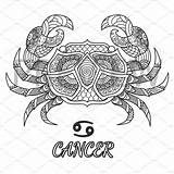 Cancer Zodiac Sign Vector Coloring Line Element Mandala Pages Adult Signs Symbol Stock Tattoos Creativemarket Sun Book Agefotostock Esy Similar sketch template