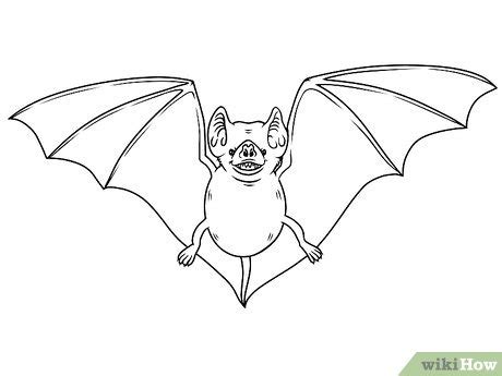 draw  bat  pictures wikihow