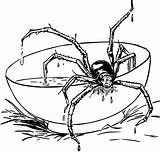 Spiders Creepy Bestcoloringpagesforkids Insects sketch template