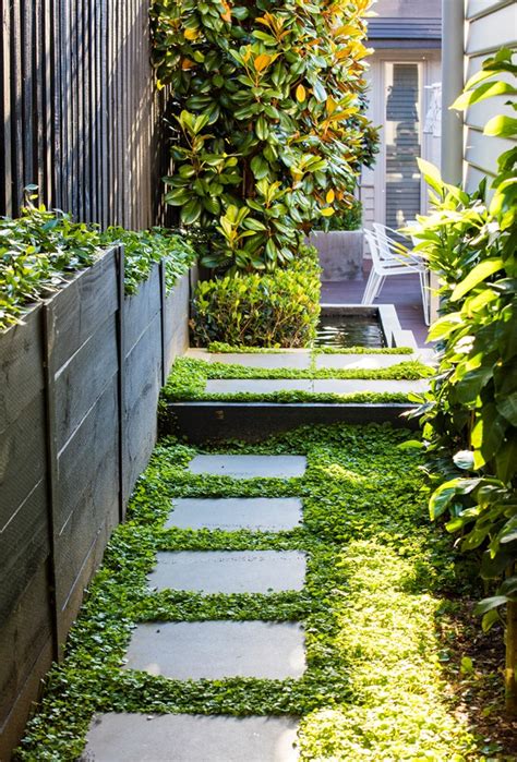 side gardens  inspiring ideas  elevate  home australian house  garden