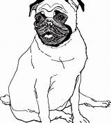 Pug Cute Coloring Pages Puppy Baby Printable Amazing Getcolorings Dog Col Print sketch template