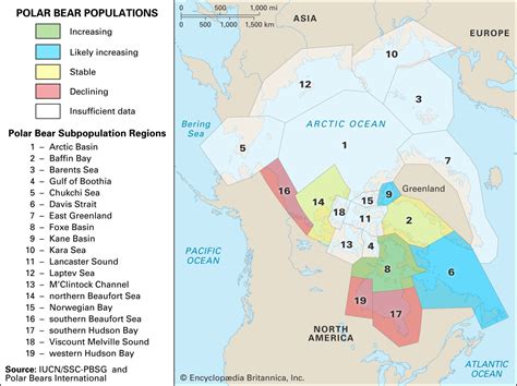 polar bear habitat map  map   world