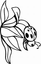Coloring Kids Bugs Printables Bug Pages Color Central sketch template