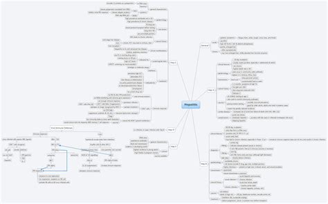 Hepatitis Xmind Mind Mapping Software