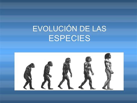 Evolució De Les Espècies