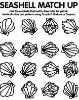 Coloring Pages Seashell Sea Shells Shell Match Seashells Crayola Colouring Printable Print Color Matching Preschool Spring Book Popular Coloringhome Au sketch template