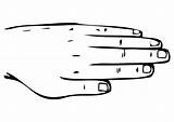 Hand Coloring sketch template