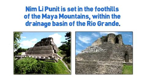 nim li punit  glimpse  southern belizes ancient maya