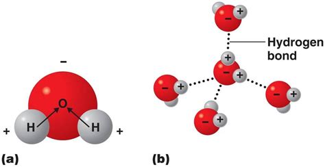 hydrogen bonding isaacs science blog
