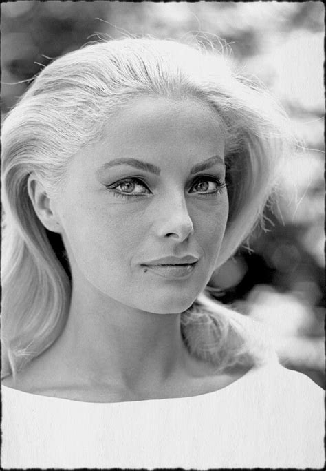 Virna Lisi 1936 2014 Con Immagini Fotografia Di