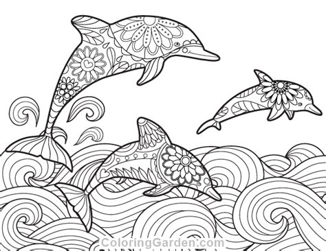 printable dolphin adult coloring page     format  httpcoloringgarden