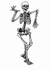 Skeletons Esqueleto Sketches Dançando Dna Easy Caveira sketch template