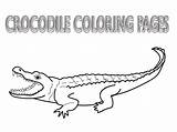 Crocodile Krokodil Bestcoloringpagesforkids Crocodiles Alligator Croc Template Ausmalbild sketch template