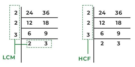 hcf  lcm definition formulas solved examples faqs