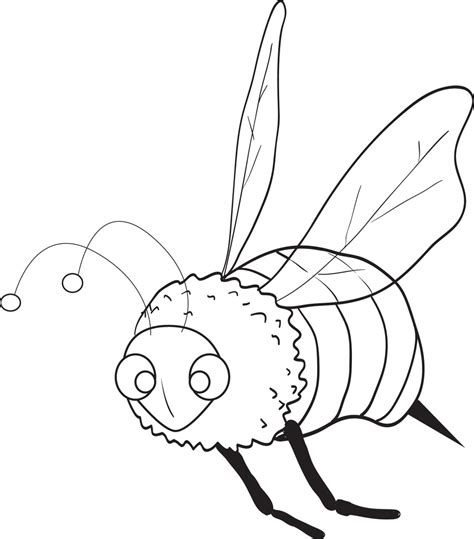 printable bee coloring page  kids supplyme