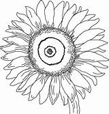 Sunflower Coloring Pages Color Georgia Keeffe Kids Colouring Drawing Printable Flowers Sheets Print Clipart Getdrawings Little Large Flower Sunflowers Summer sketch template