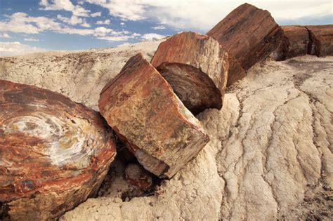 petrified forest national park  complete guide