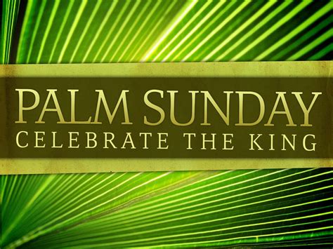 palm sunday pictures wallpaperscom