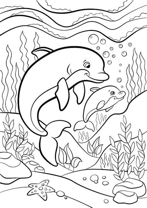 printable coloring pages dolphins customize  print