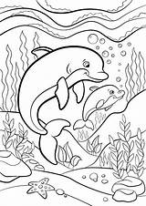 Dolphin Tulamama Regularly sketch template