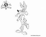 Tunes Wile Coyote Looney Coloring Pages Kids Printable Color sketch template