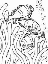 Coloring Fish Pages Clown School Sea Anemone Ray Fishes Color Loaves Coral Tank Printable Drawing Colouring Getcolorings Getdrawings Colorings Tocolor sketch template