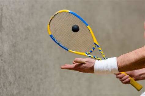 racquetball racquets  buy   sportsglory