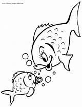 Fish Coloring Pages Animal Color Kids Printable Sheets Found sketch template