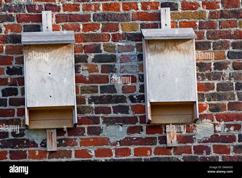 bat nest boxes   house wall belgium stock photo alamy