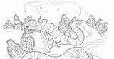Gecko Deserts Copy Lizard sketch template