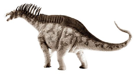 amargasaurus amargasaurus dinosaurios coleccion   titanosaurios