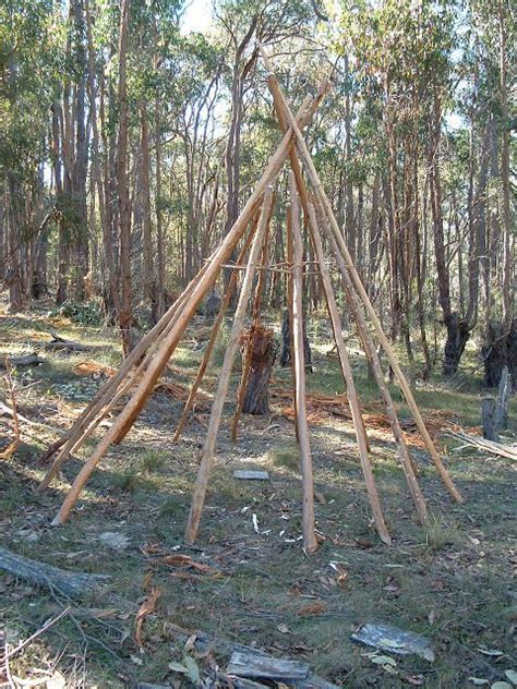working on a wigwam for a winter shelter survival shelter outdoor survival primitive survival
