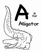 Alligator Mewarna Pulapah Prasekolah Sk Letters Preschool Kembali 8x10 Haiwan Praskpulapah sketch template