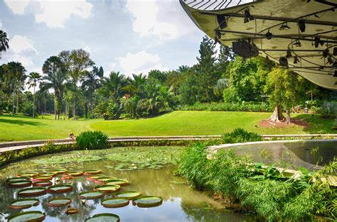 fresh air  mighty  trees  singapores botanic gardens