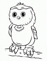 Owl Coloring Baby Print Size Color sketch template