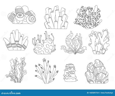 ideas  coloring underwater plants coloring pages