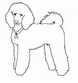 Poodle Line Poodles Toy Deviantart Drawing Outline Dog Drawings Standard Un Dibujar Draw Dogs French Perro Digi Perros Como Colouring sketch template