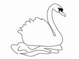 Swan Cygne sketch template
