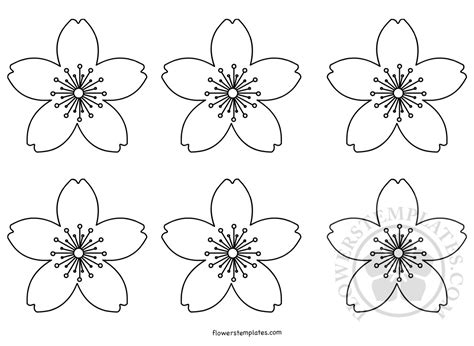 cherry blossoms flowers templates
