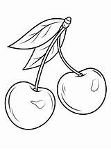 Cherries sketch template